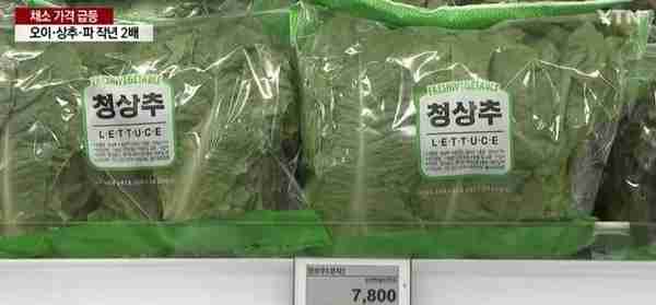 韩国物价创24年新高！主妇集体抱怨“疯了吗”！生菜涨到200韩元一片