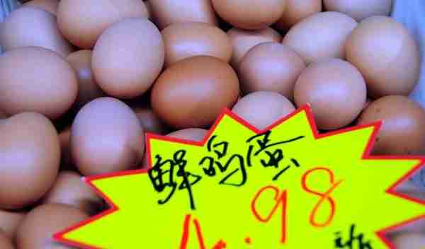 「集金期货通」鸡蛋合约涨幅1.15% 成交量大幅缩减