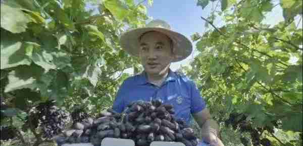 百果争香“亚果会”——第三届亚洲优质水果产业链(云南)峰会开幕