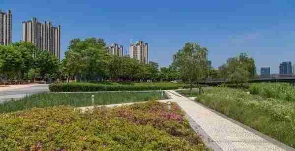 盘点：上海最值得学习的20个公共景观！