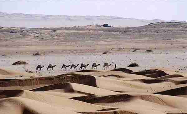 古埃及人如何在沙漠中，使农作物的产量增加？