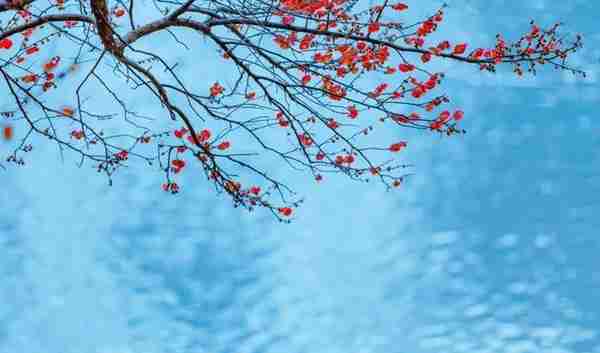 韦庄最经典的10首诗词，碧天春水，画船听雨，太美了
