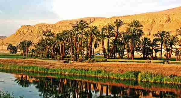 古埃及人如何在沙漠中，使农作物的产量增加？