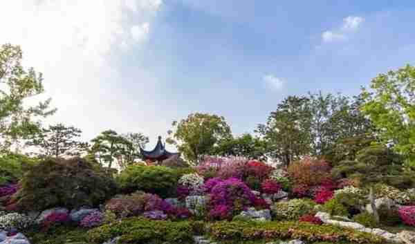 游园赏花、户外露营……来浦东这个公园，精彩活动一网打尽→