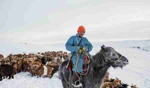 俄愿向中国提供百万公顷土地,蒙古国人捐黄金马匹后,事情有新进展