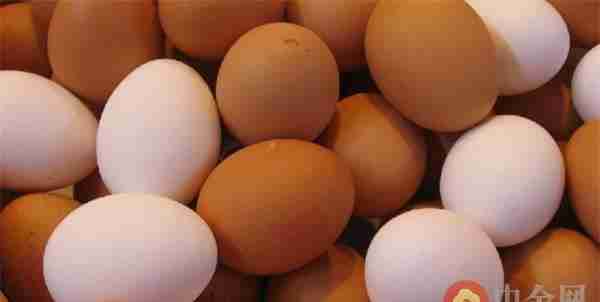 紧贴现货产业 鸡蛋期货调整为裸蛋计价