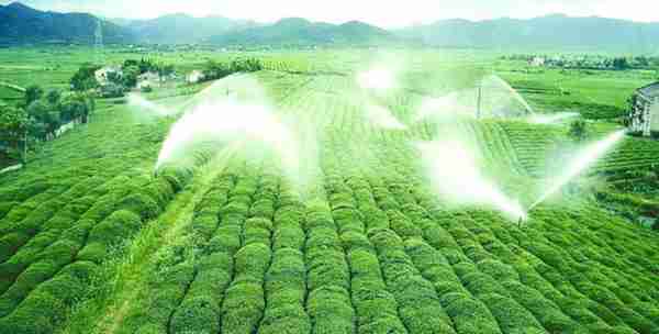 中国新形势下的区块链+农业——ABCT农商链正式发布