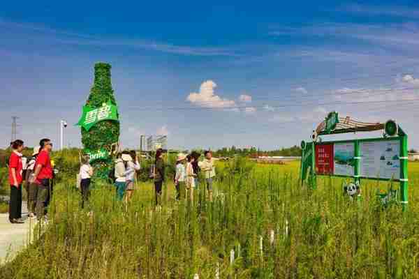 世界湿地日：用责任在乎这里，中粮可口可乐四川公司在行动!
