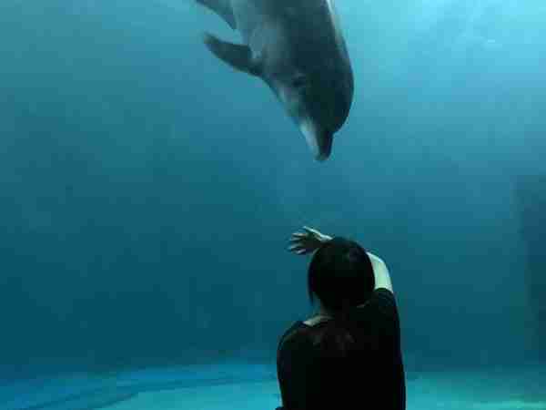 好久不见，想死你们了！杭州极地海洋公园复开首日，3个月不见游客的动物们都太嗨了