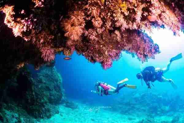 潜水行程｜12.18-23泰国斯米兰+红石紫石船宿